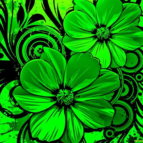Зелень природа цветы