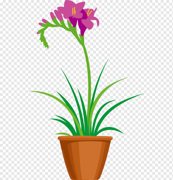 Цветок в горшке svg