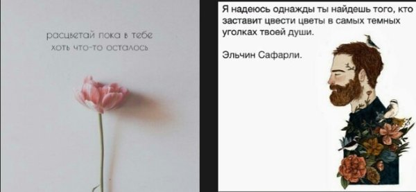 Демотиваторы цветы