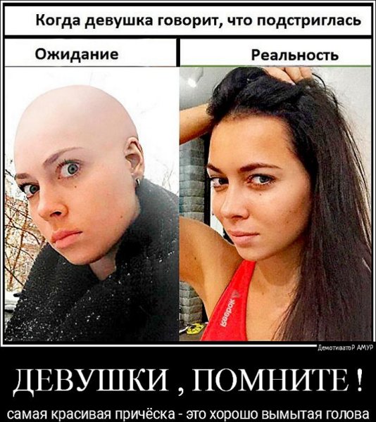 Купи мужу цветы картинка прикол