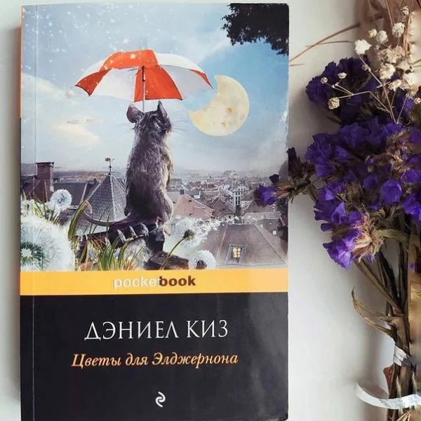 Цветы для Элджернона
