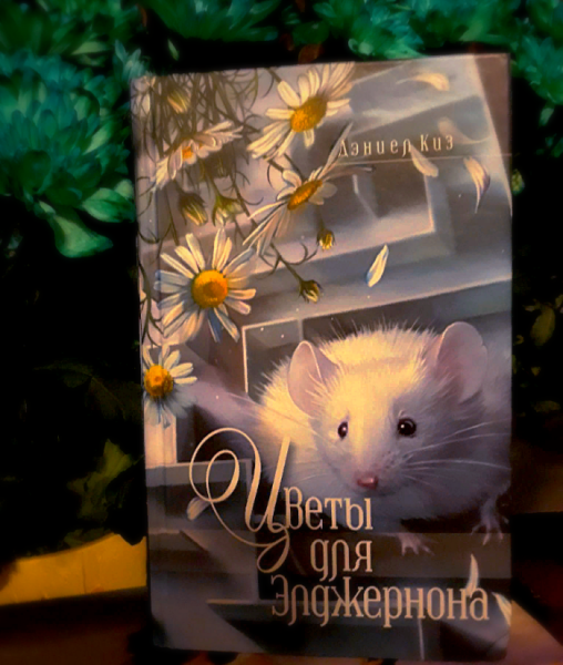 Дэниел киз цветы для Элджернона обложка