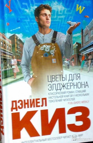 Цветы для Элджернона, киз д.