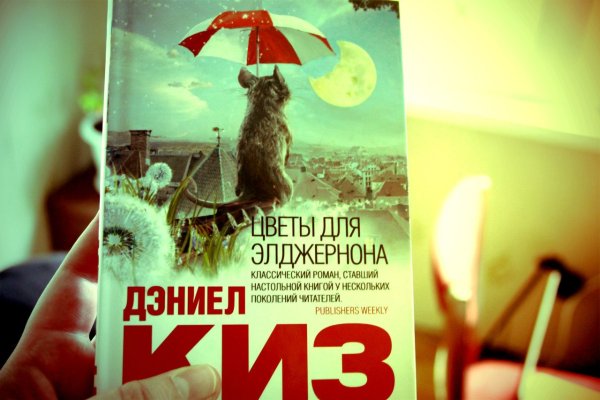 Дэниел киз цветы для Элджернона обложка