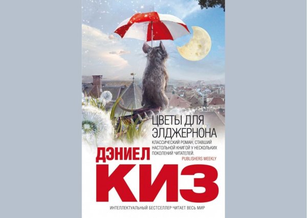 Цветы для Элджернона мышонок