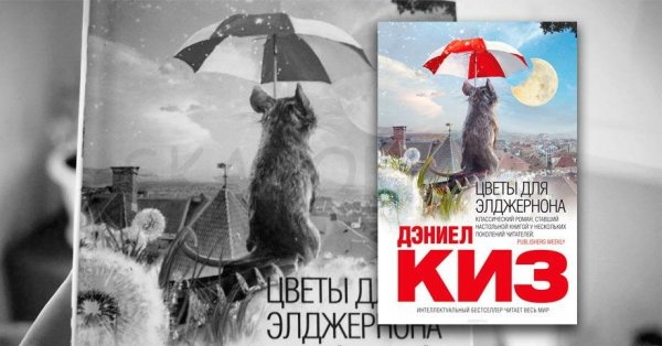 Дэниел киз цветы