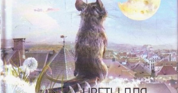 Цветы для Элджернона мышонок