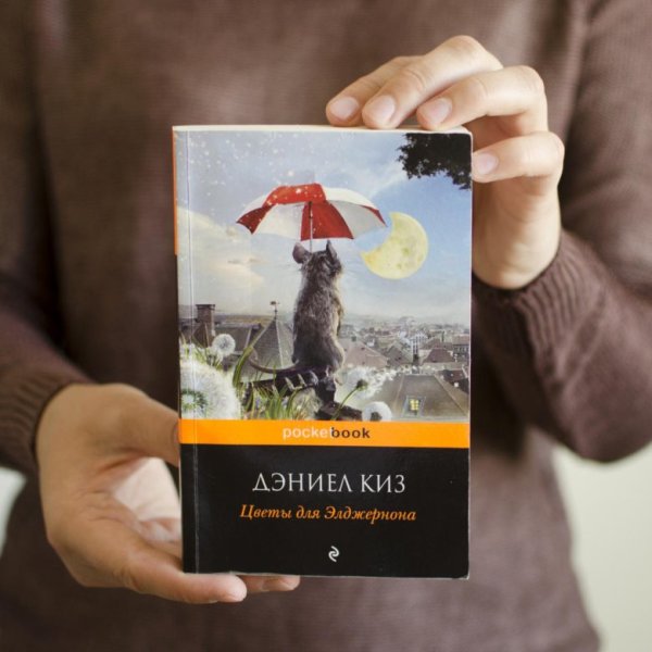 Цветы для Элджернона Дэниел киз книга