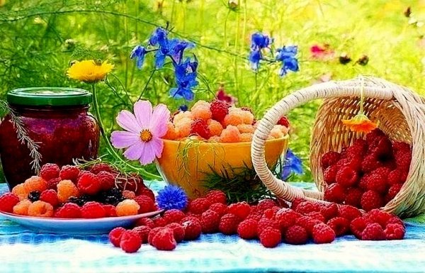 Корзинка с фруктами и цветами