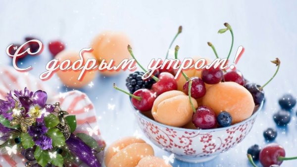 Красочное летнее утро
