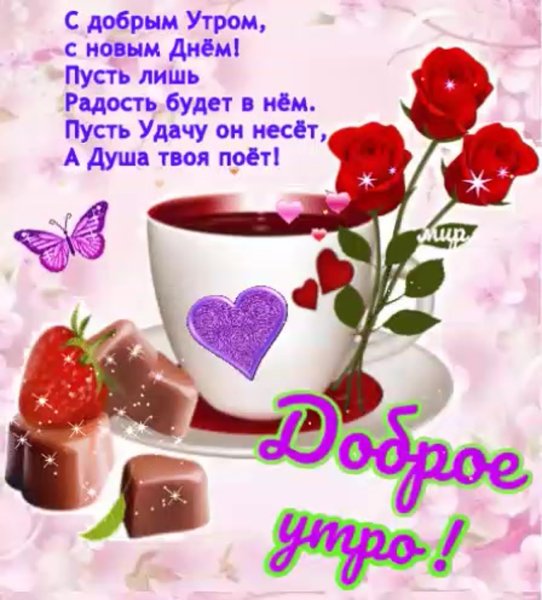 Открытки с пожеланиями доброго утра и хорошего дня