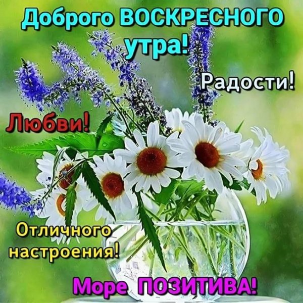 Доброго весеннего утра и хорошего дня