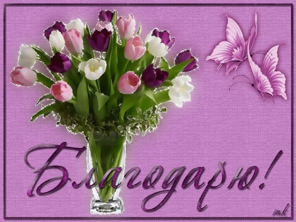 Красивые открытки с цветами и пожеланиями