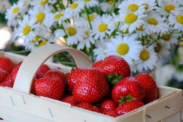 Клубника и ромашки