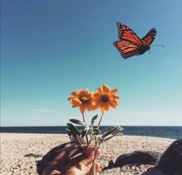 Космонавт и цветы