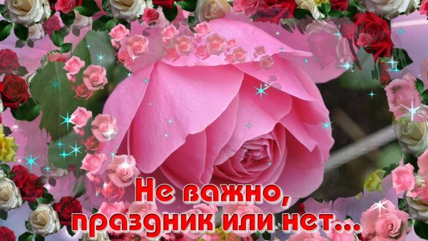 Прекрасной женщине цветы