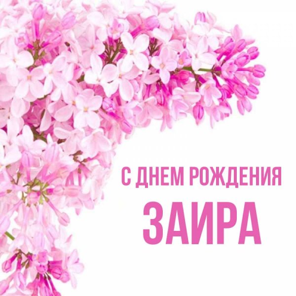 С днем рождения янита
