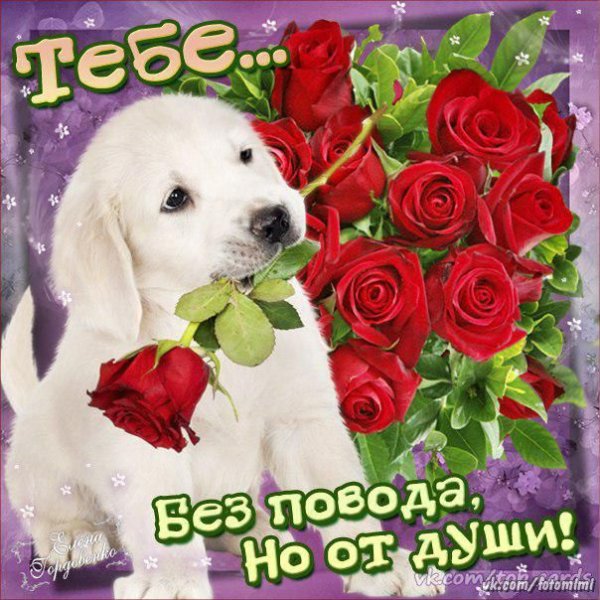 Открытка тебе от души