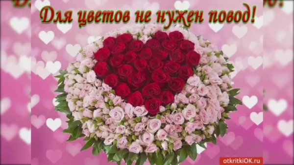 Самые лучшие цветы без повода