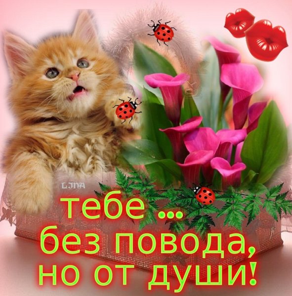 Поздравления без повода