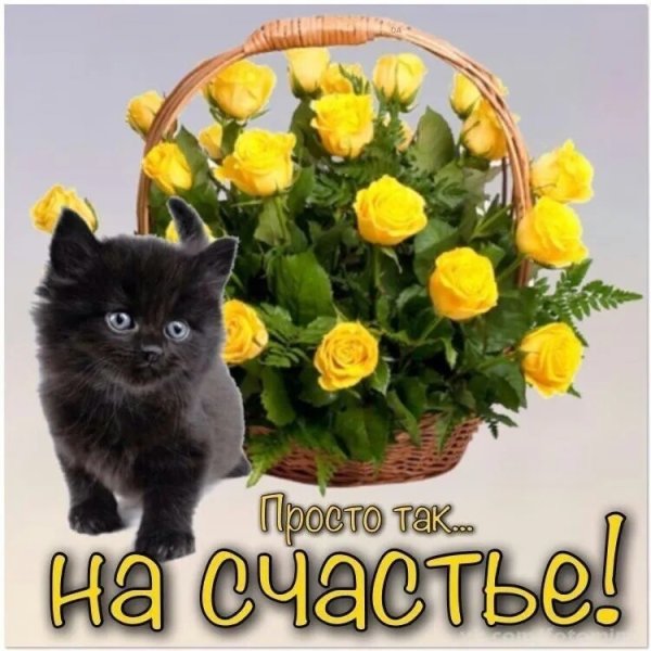 Открытка "просто так"