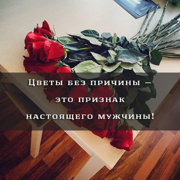 Цитаты про цветы