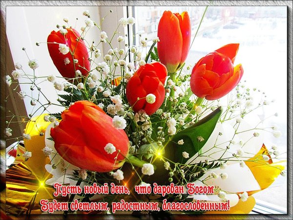Прекрасного дня тюльпаны