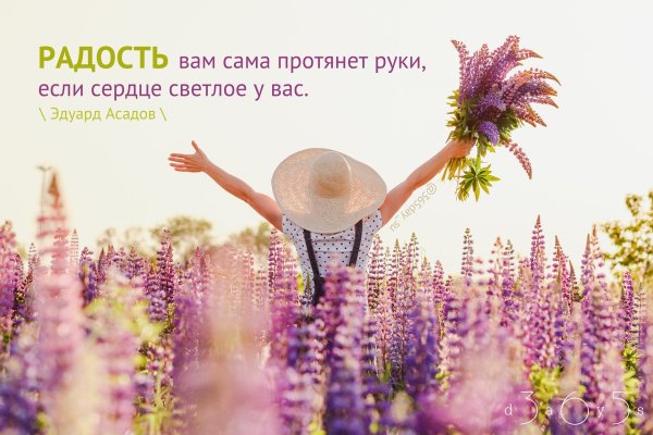 Афоризмы о радости жизни
