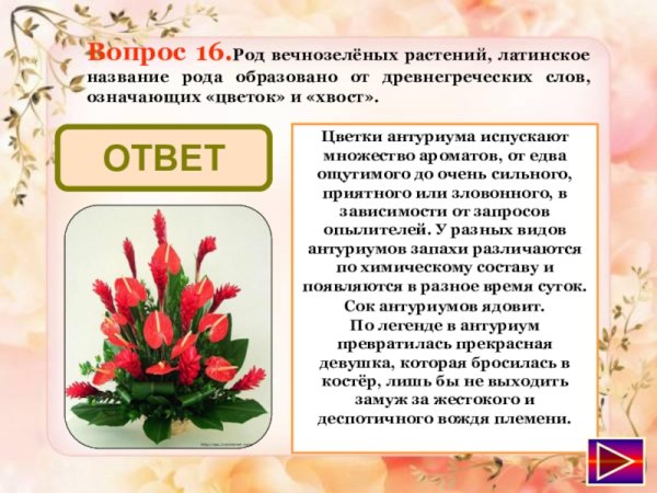 Названия цветов Литинском