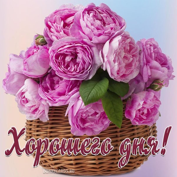 Пожелания хорошего дня букеты