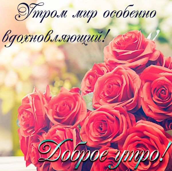 Букетытыс добрым утром