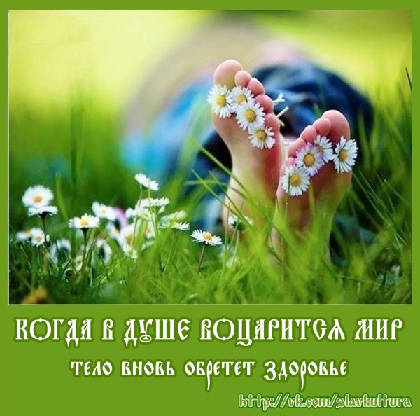 Море цветов