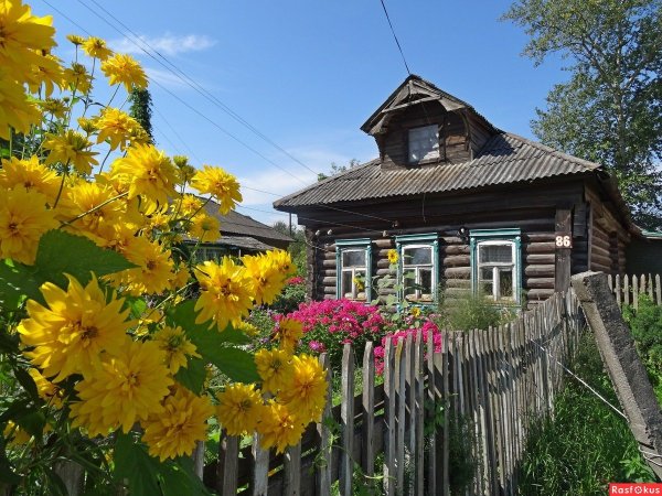 Родной дом в деревне