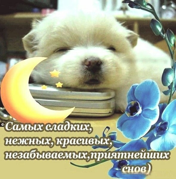Пожелания спокойной ночи