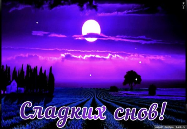 Спокойной ночи сладких снов