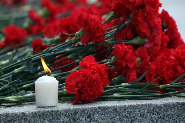 Гвоздики память
