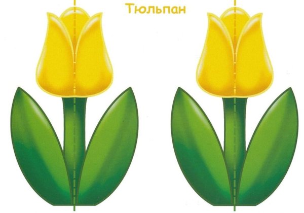Тюльпаны для вырезания цветные