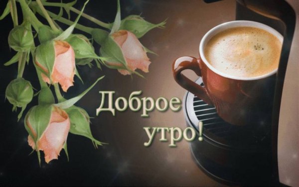Добрый день любимая