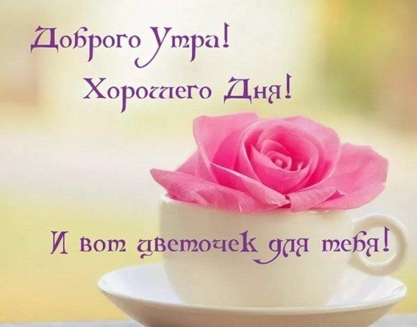 Открытки с добрым утром с розами