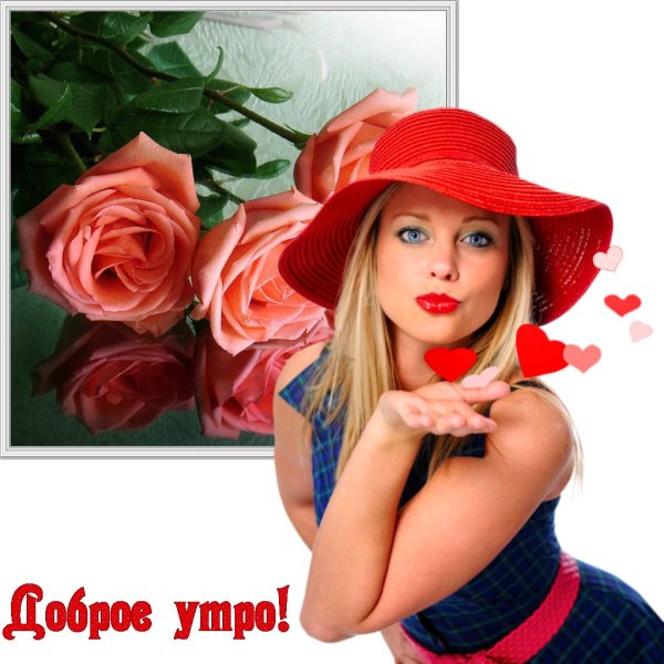 Доброе утро красные розы
