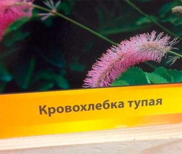 Намек на букет цветов