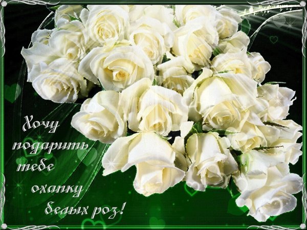 Белые розы фон Изображения – скачать бесплатно на Freepik