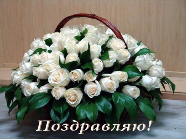 Белые розы открытки красивые с днем рождения