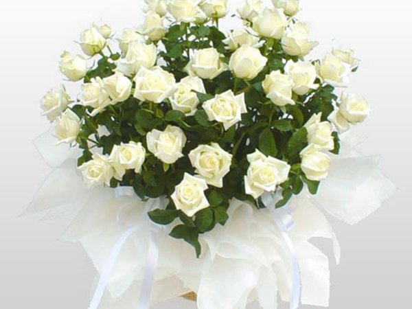 Корзина белых роз