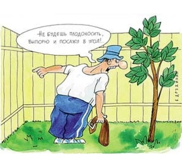 Приколы про растения