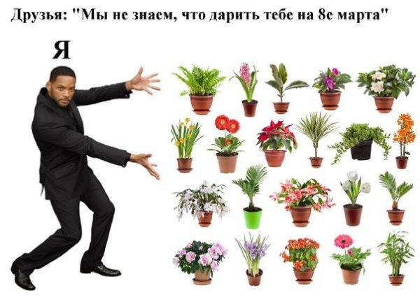 Посты про цветоводов