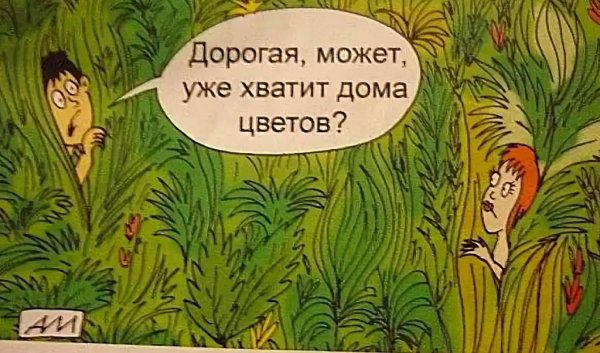 Анекдоты про цветы