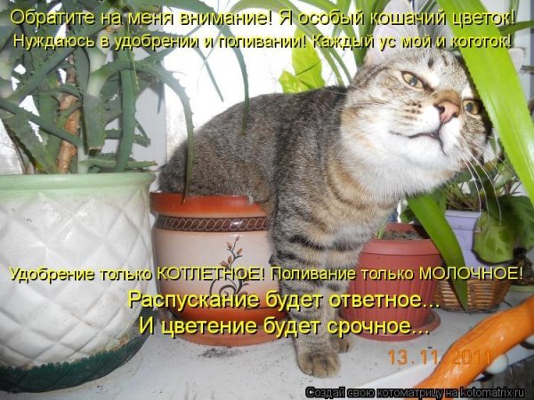 Шутки про цветоводов