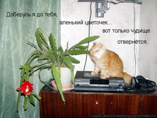 С днем воспитателя поздравления прикольные