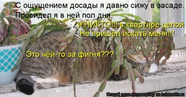 Смешной продавец цветов